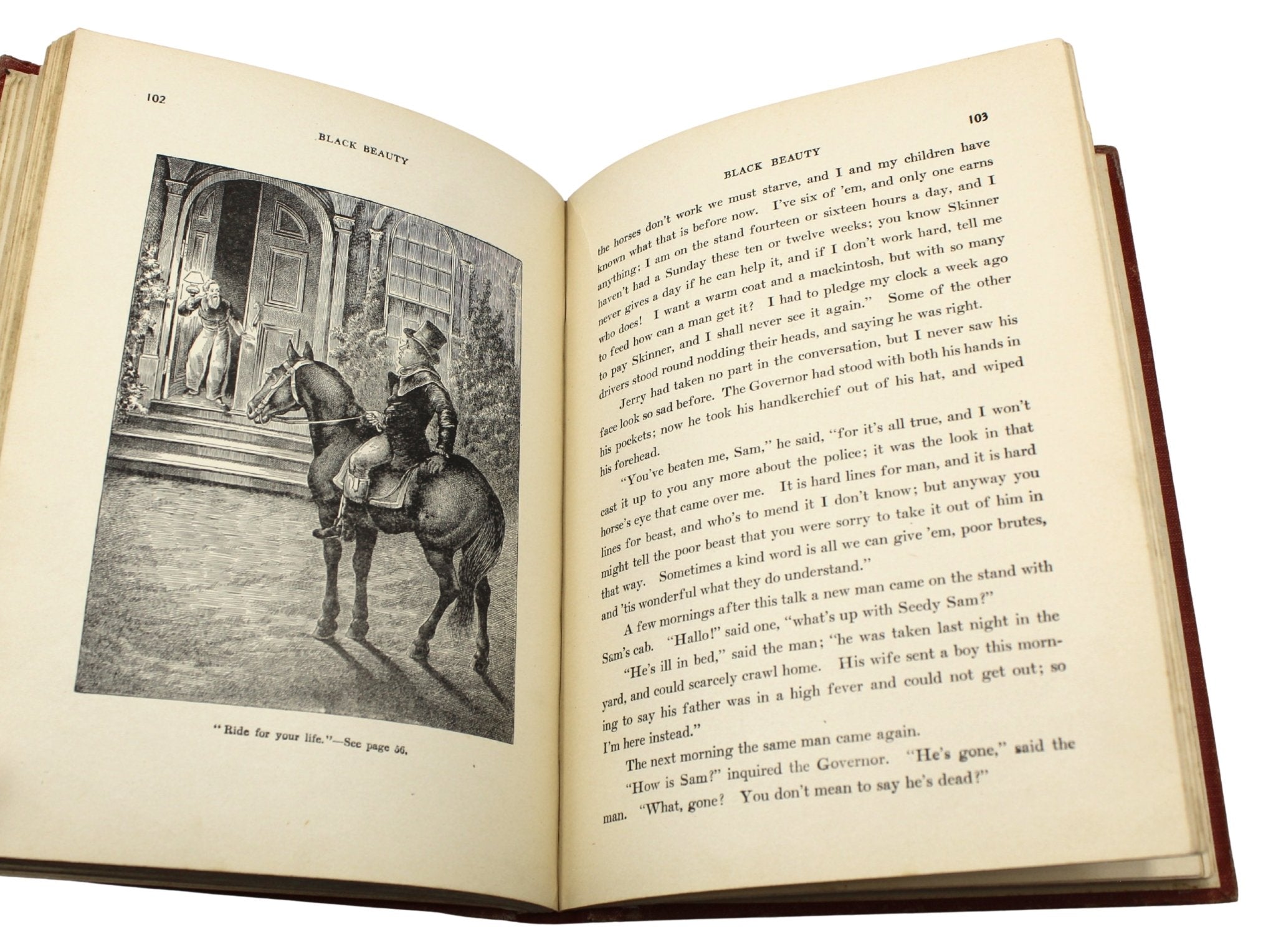 Black Beauty: The Autobiography of a Horse, by Anna Sewell, Illustrated, [n.d.] - The Great Republic