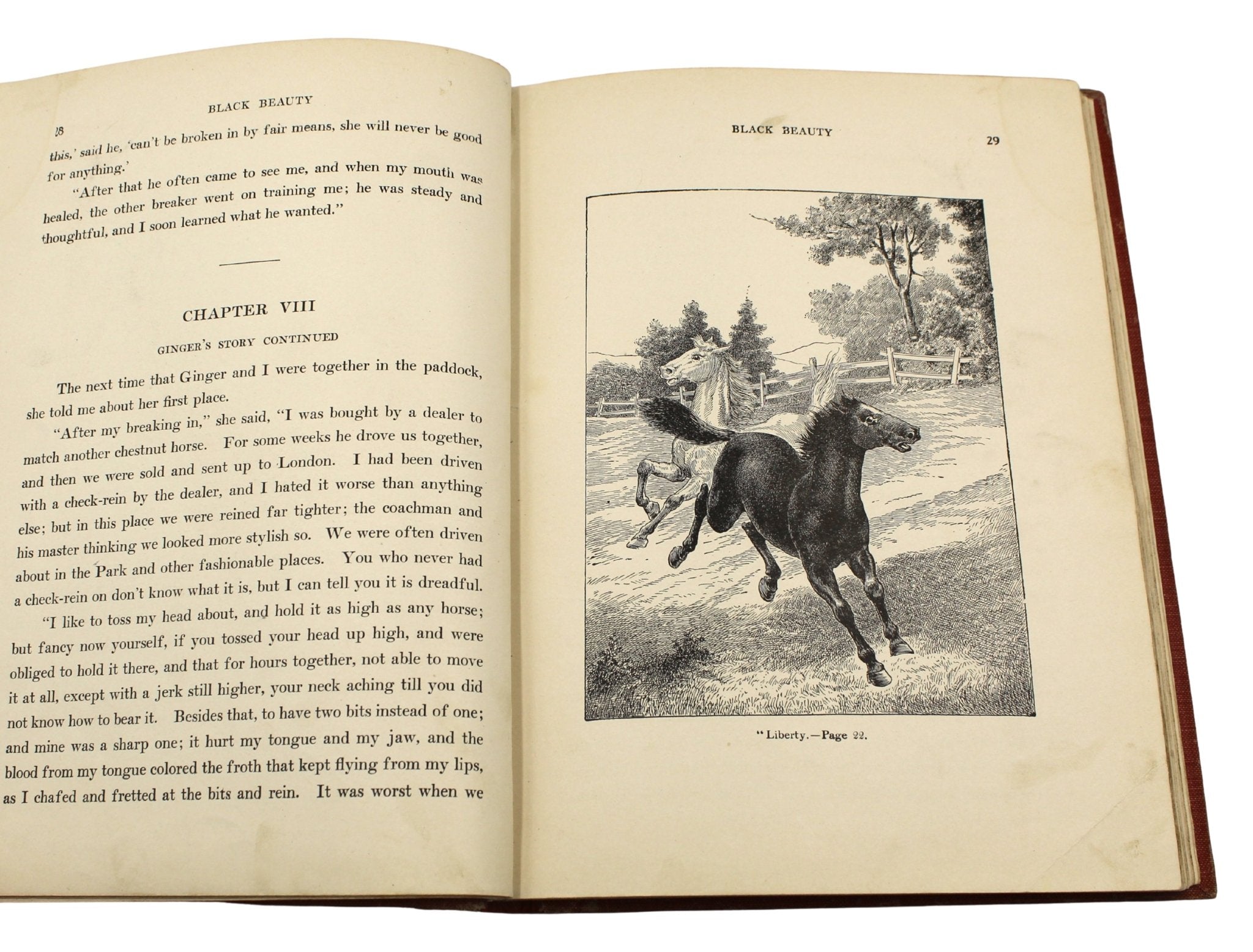 Black Beauty: The Autobiography of a Horse, by Anna Sewell, Illustrated, [n.d.] - The Great Republic