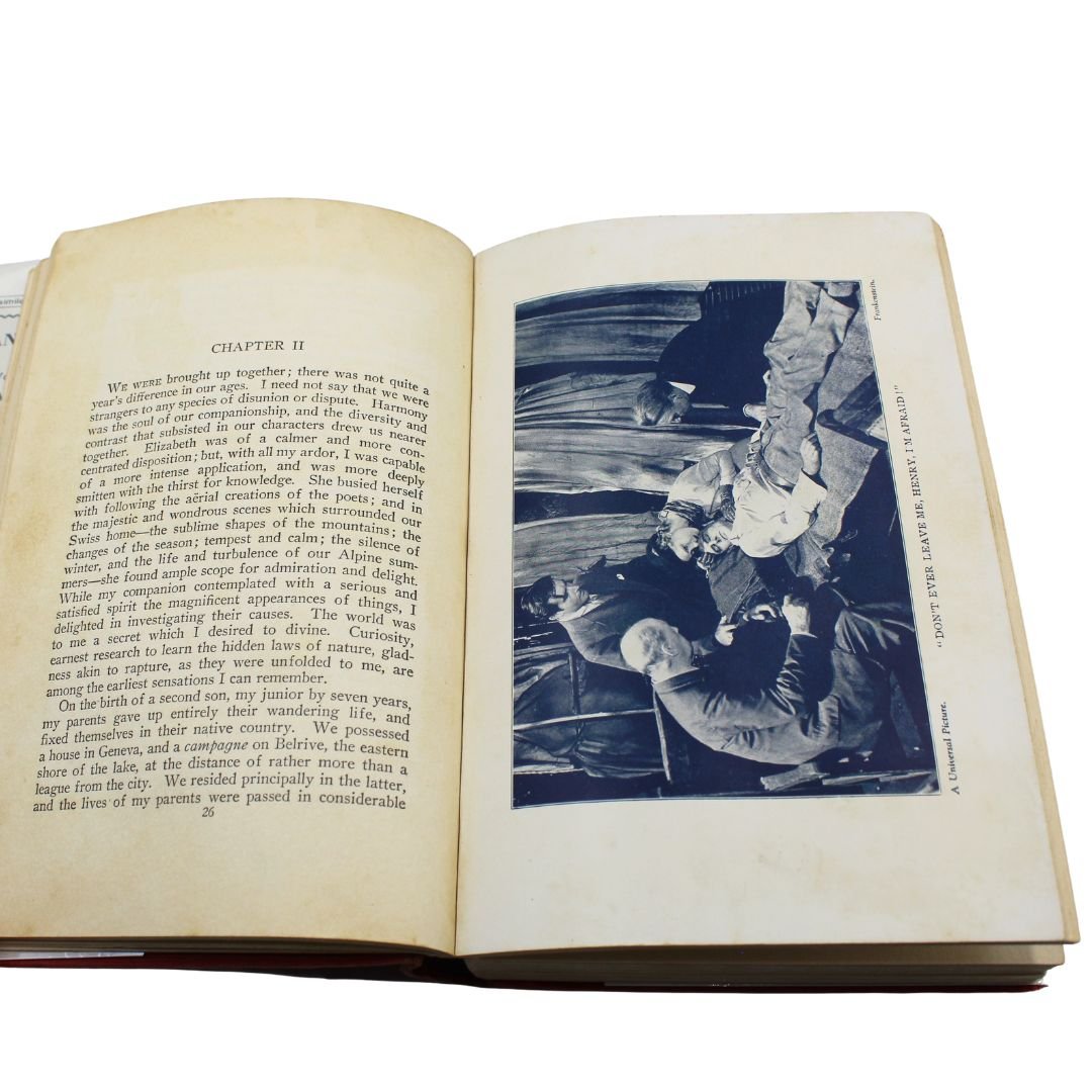 Frankenstein, or The Modern Prometheus by Mary W. Shelley, Grosset & Dunlap Photoplay Edition, 1931 - The Great Republic