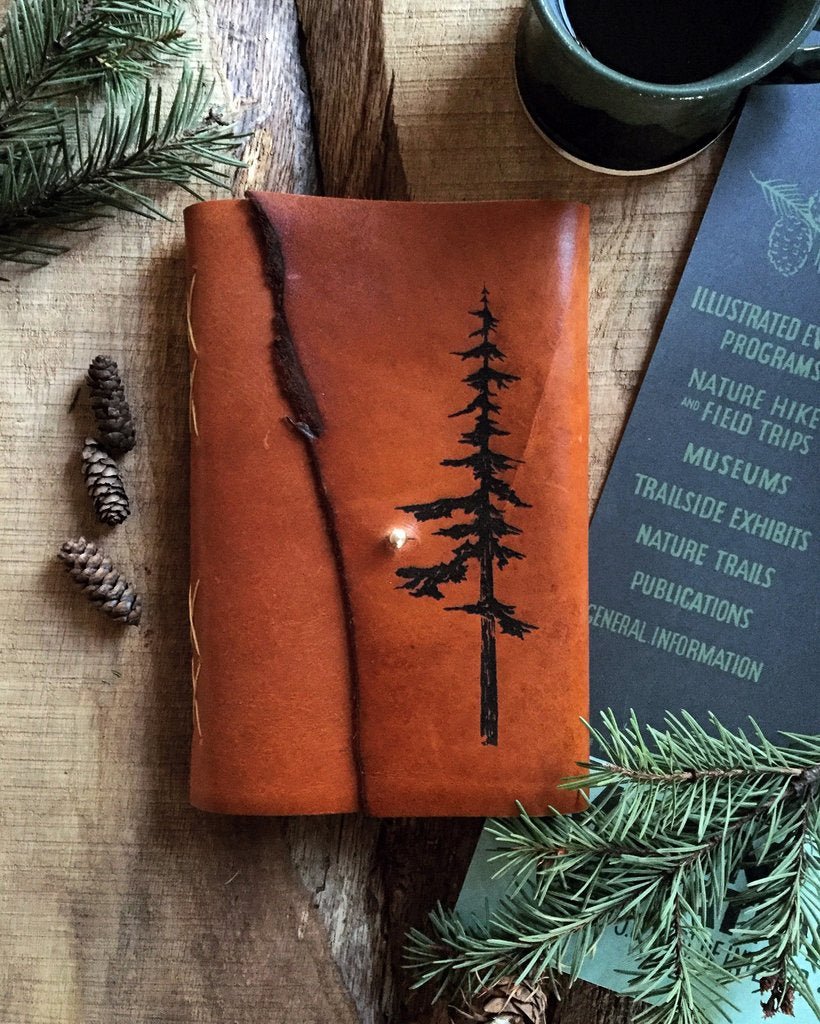 Park Journal - The Great Republic