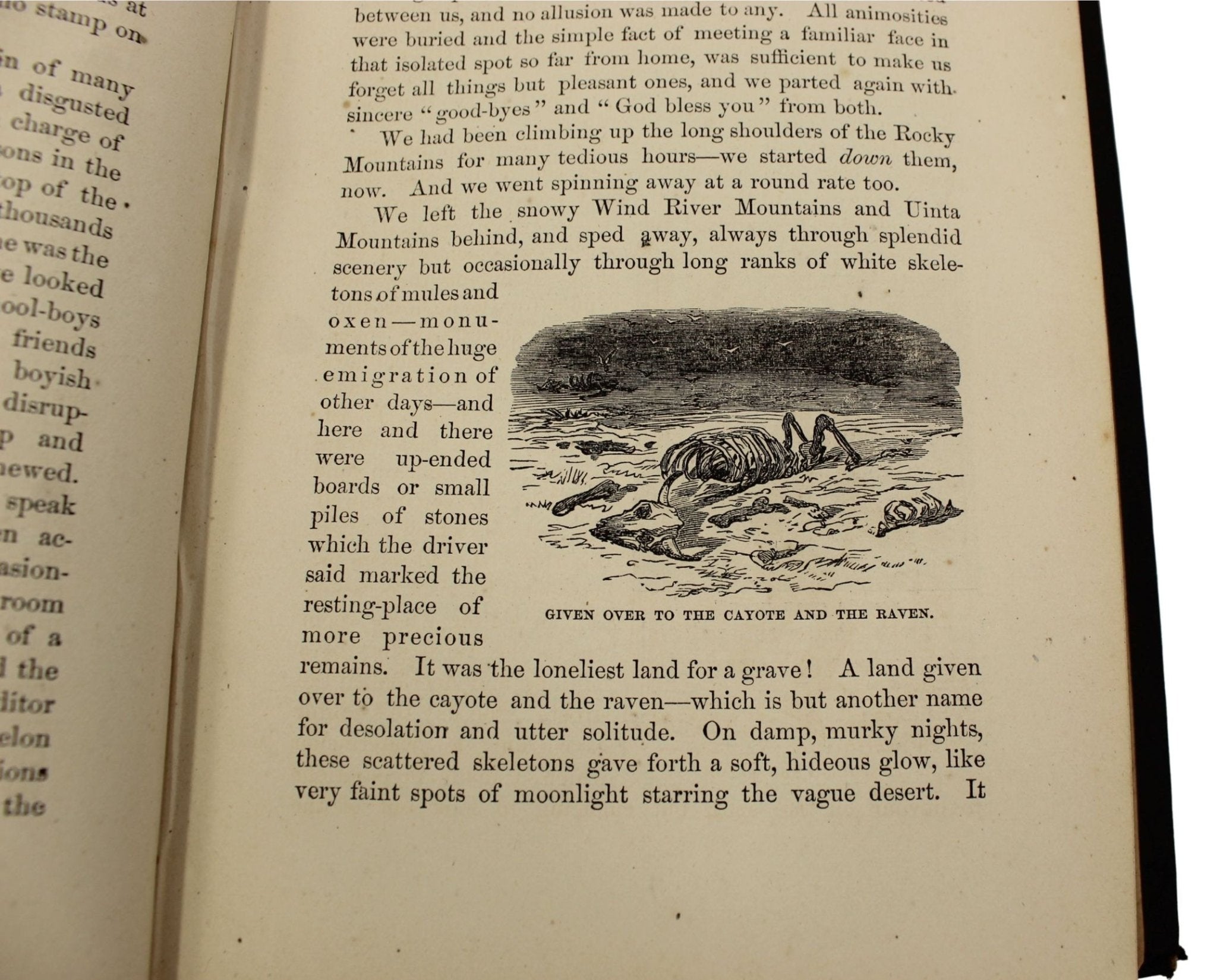 Roughing It by Mark Twain, First U.S. Edition, Later Printing, in Original Boards, 1872 - The Great Republic