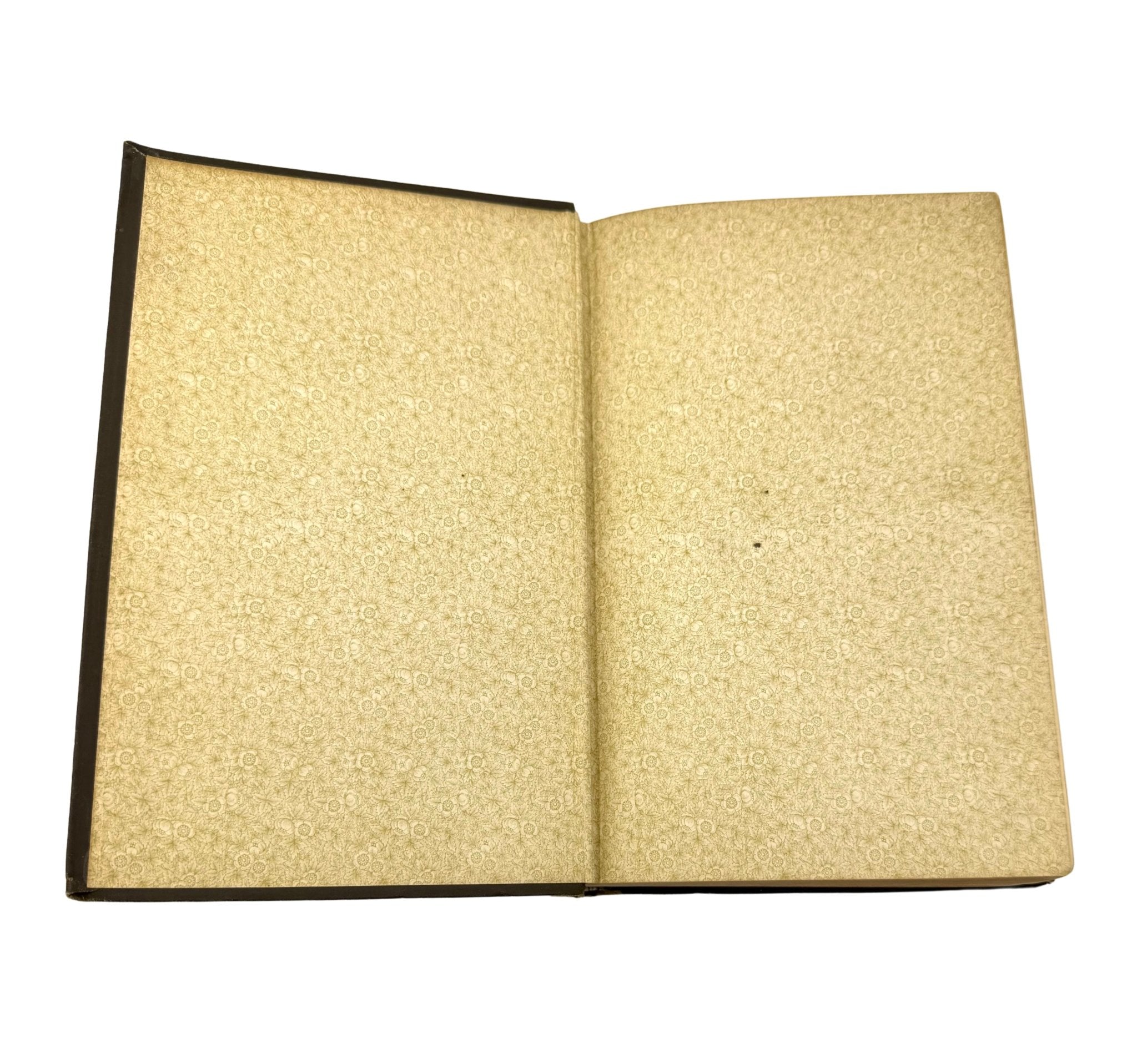 Tenting on the Plains, or General Custer in Kansas and Texas, by Elizabeth B. Custer, First Edition, in Original Boards, 1887 - The Great Republic