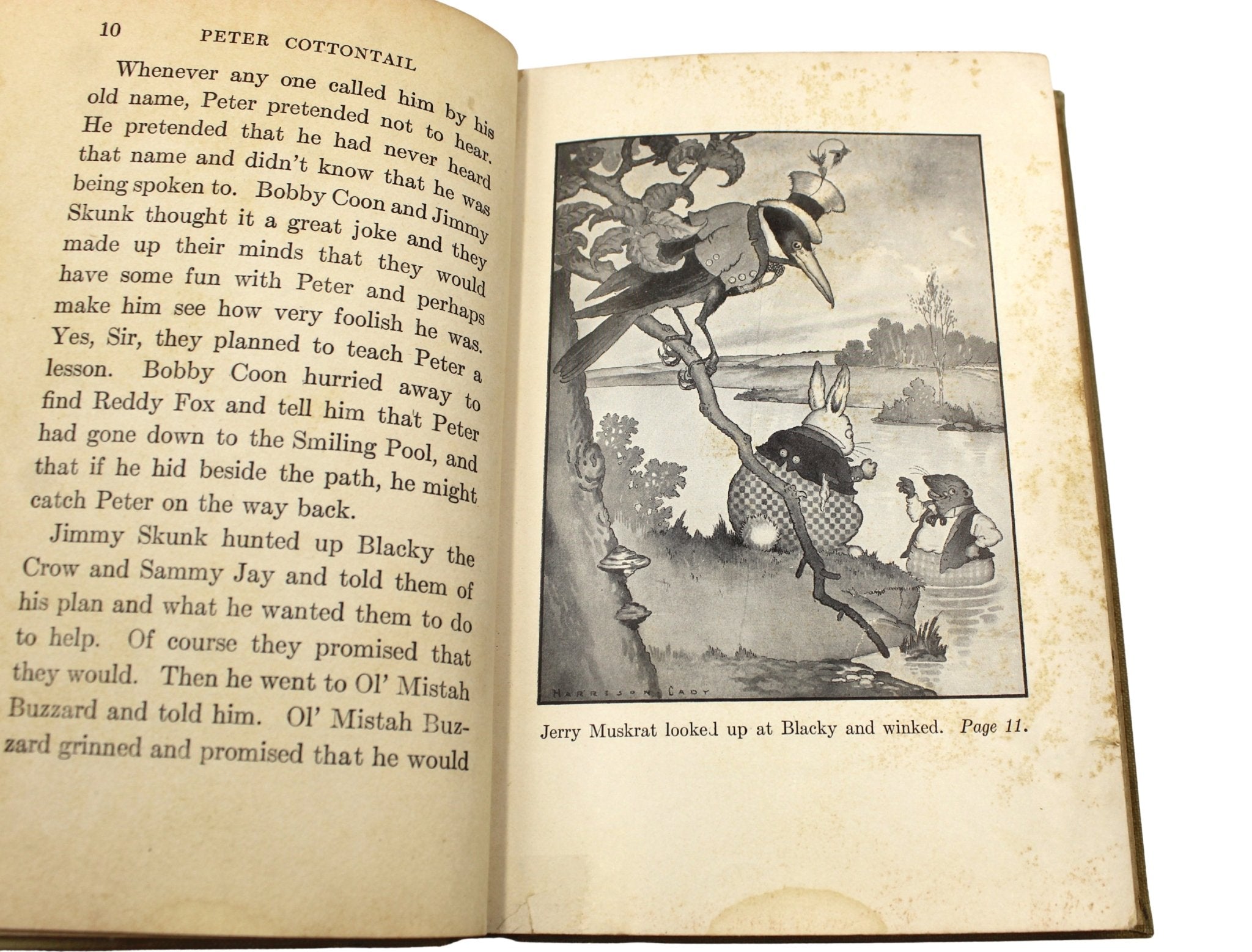 The Adventures of Peter Cottontail by Thornton W. Burgess, Illustrated by Harrison Cady, 1916 - The Great Republic