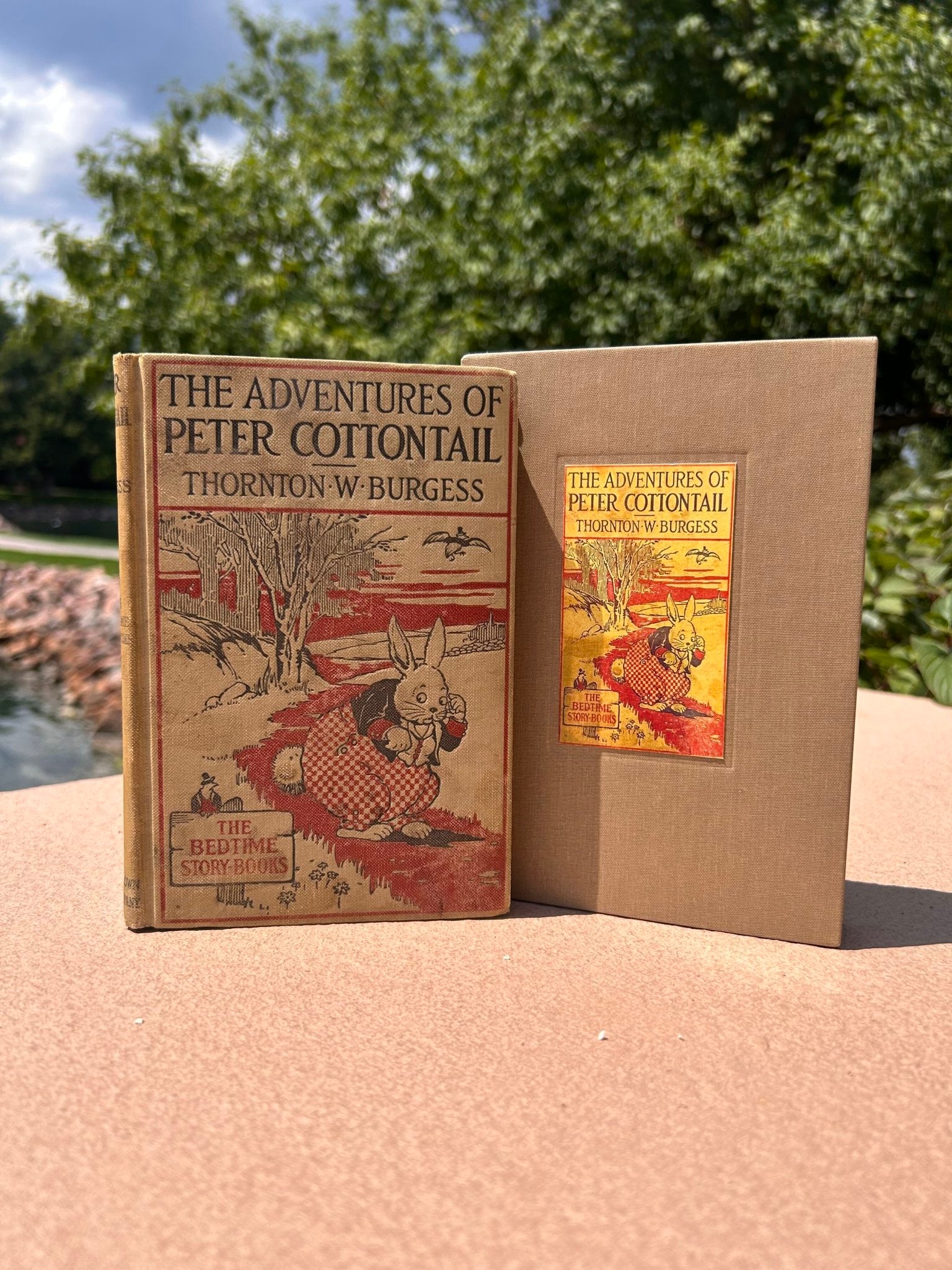The Adventures of Peter Cottontail by Thornton W. Burgess, Illustrated by Harrison Cady, 1916 - The Great Republic