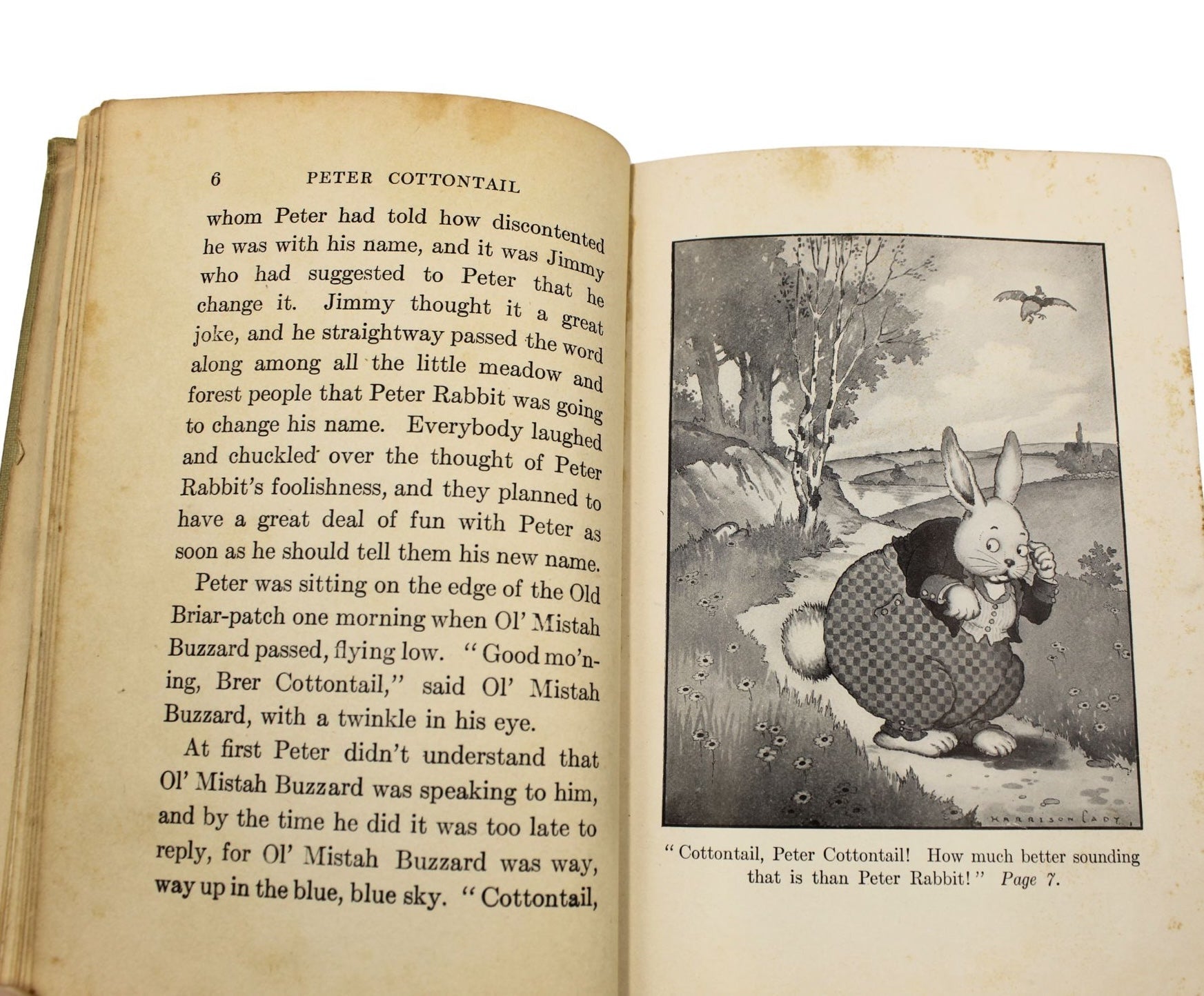 The Adventures of Peter Cottontail by Thornton W. Burgess, Illustrated by Harrison Cady, 1916 - The Great Republic