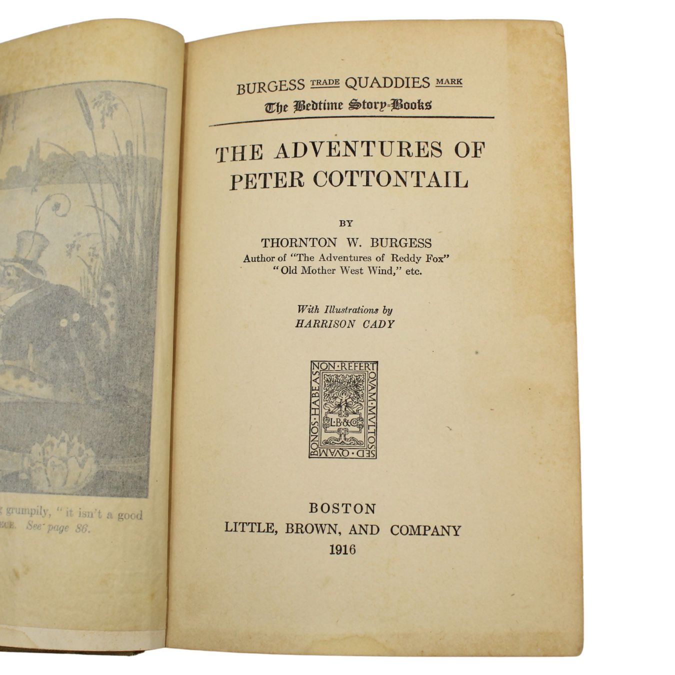 The Adventures of Peter Cottontail by Thornton W. Burgess, Illustrated by Harrison Cady, 1916 - The Great Republic