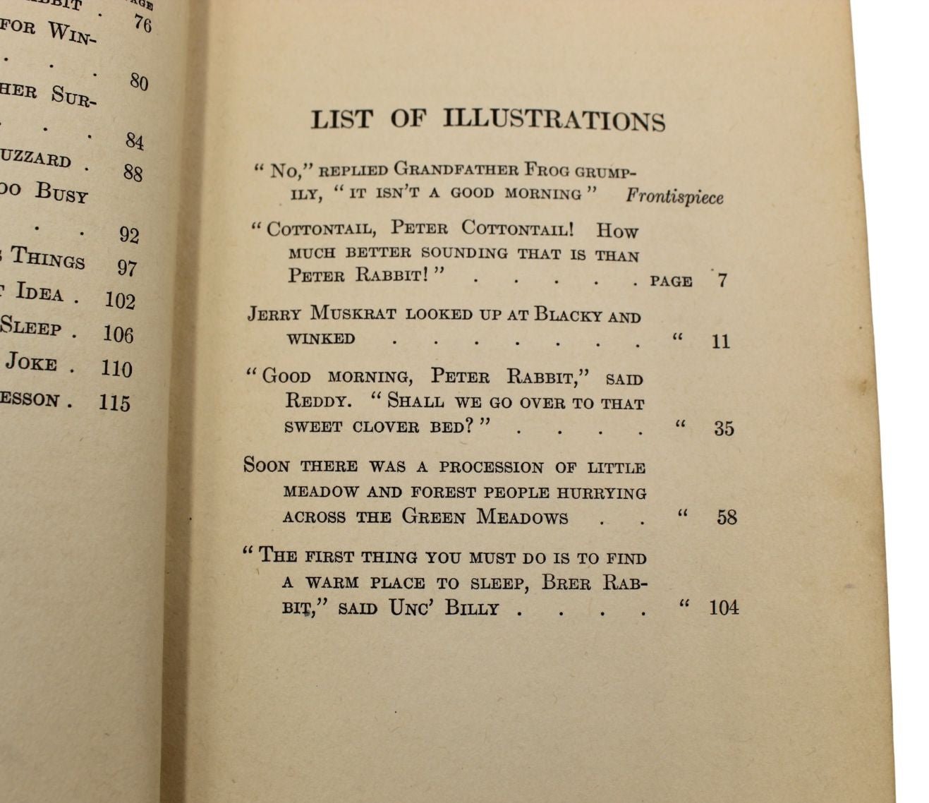 The Adventures of Peter Cottontail by Thornton W. Burgess, Illustrated by Harrison Cady, 1916 - The Great Republic