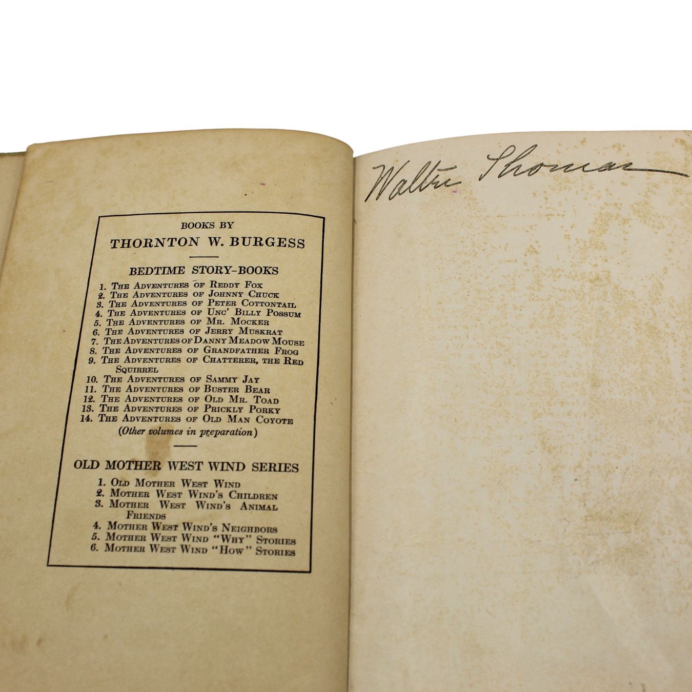 The Adventures of Peter Cottontail by Thornton W. Burgess, Illustrated by Harrison Cady, 1916 - The Great Republic