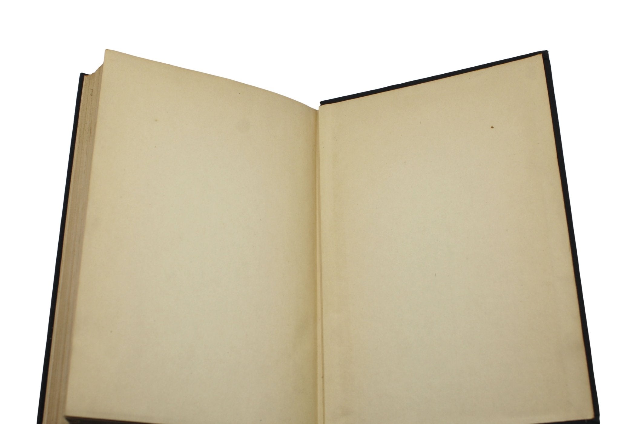 The Arabian Nights Entertainments, Illustrated by Louis Rhead, 1925 - The Great Republic