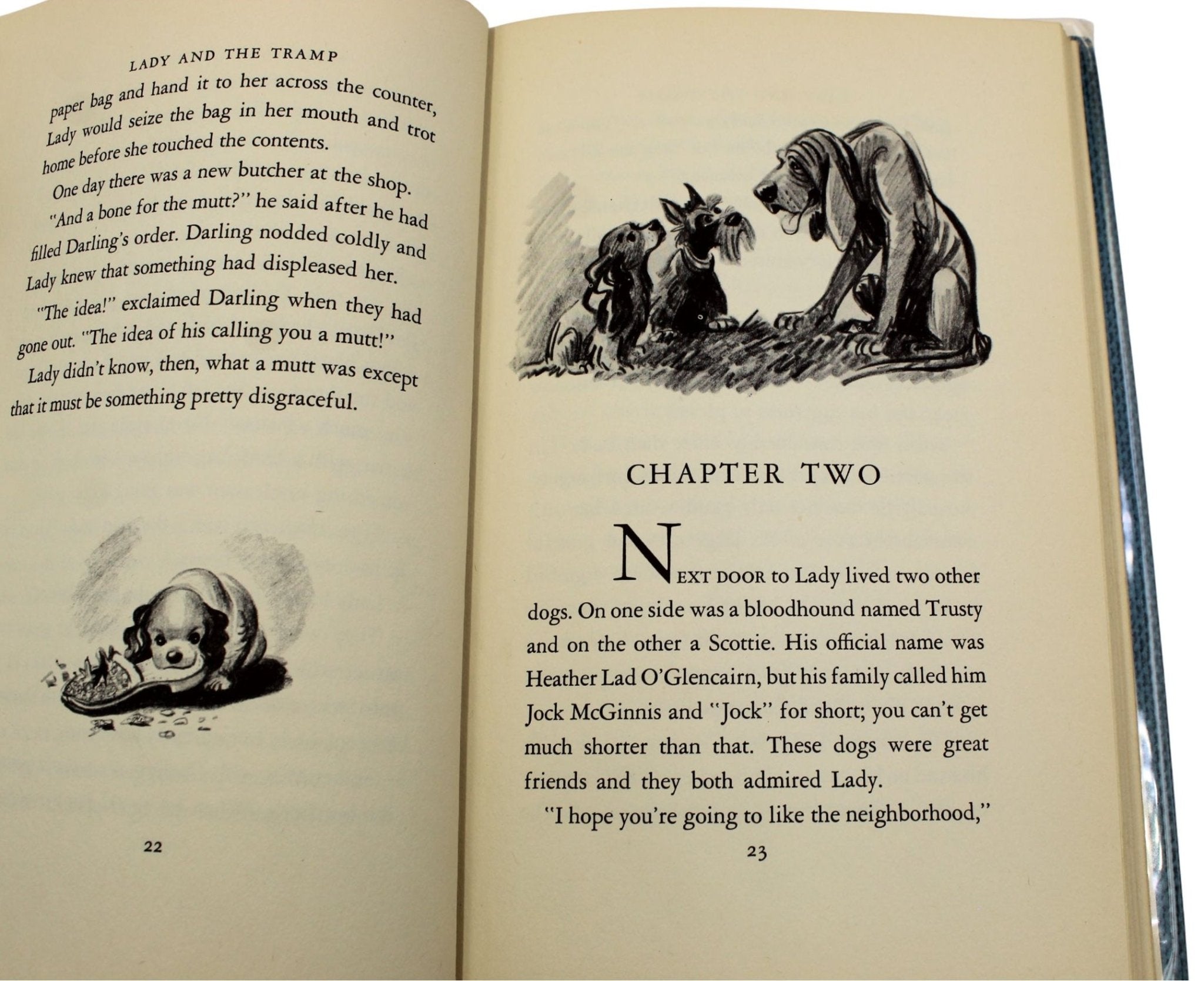 The Lady and the Tramp by Ward Greene, Illustrated by Joe G. Rinaldi, First Edition in Original Dust Jacket, [1953] - The Great Republic