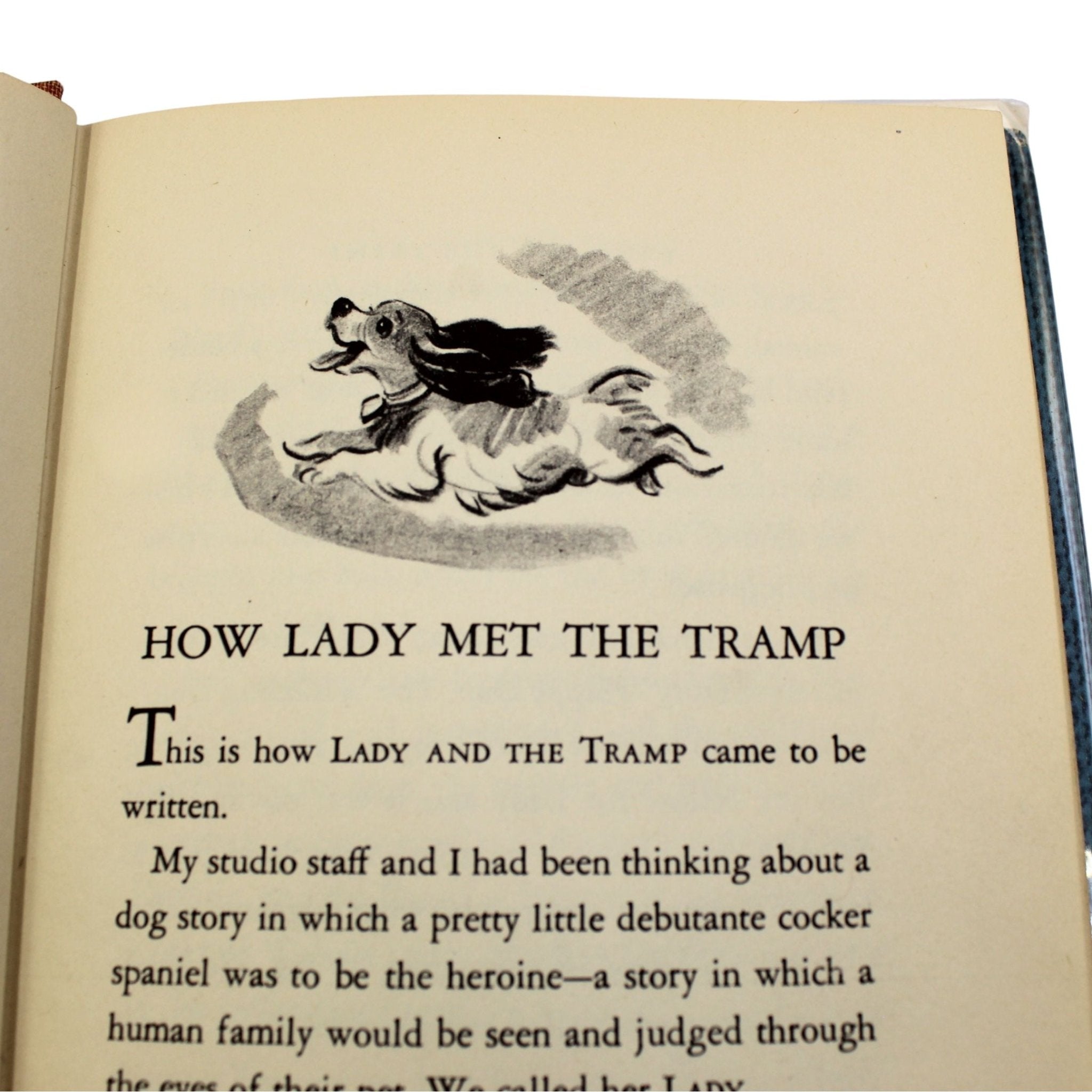The Lady and the Tramp by Ward Greene, Illustrated by Joe G. Rinaldi, First Edition in Original Dust Jacket, [1953] - The Great Republic