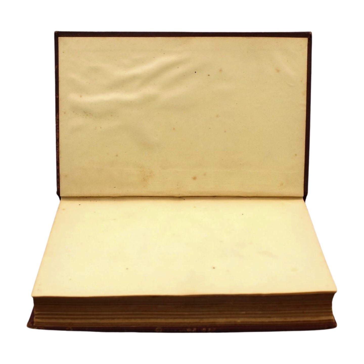 The New York Cookbook: A Complete Manual of Cookery, in all its Branches, by Marie Martinelo, 1882 - The Great Republic