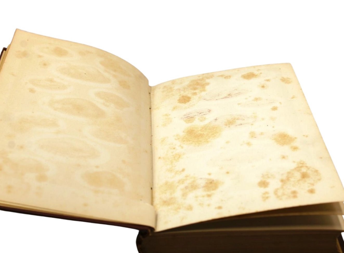 The New York Cookbook: A Complete Manual of Cookery, in all its Branches, by Marie Martinelo, 1882 - The Great Republic