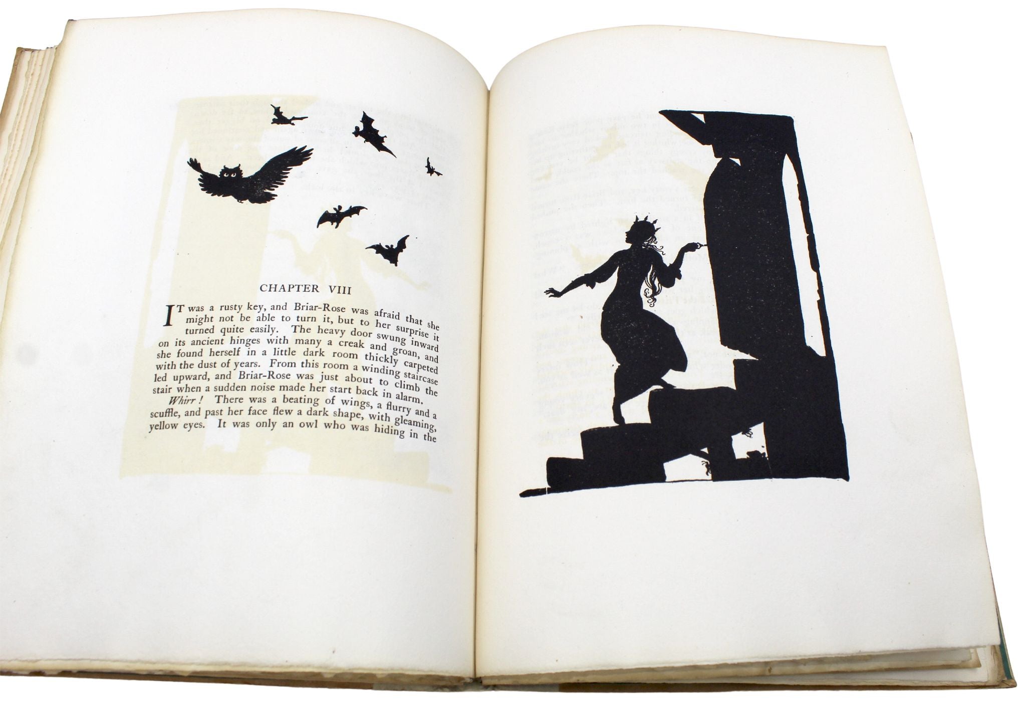 The Sleeping Beauty, Edited by C. S. Evans, Illustrated and Signed by Arthur Rackham, Limited Edition de Luxe, 1920 - The Great Republic