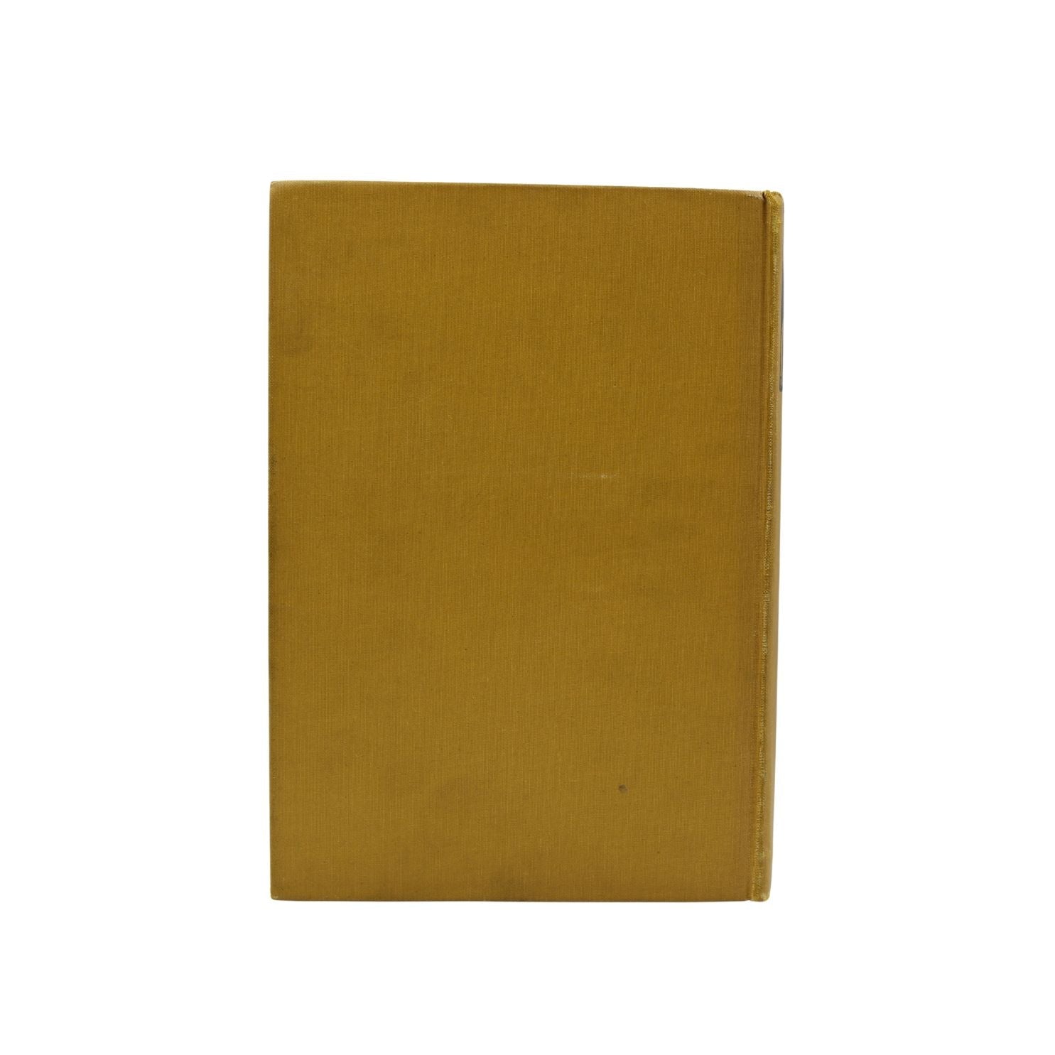 The Swiss Family Robinson by Johann David Wyss, Illustrated by T. H. Robinson, [n.d.] - The Great Republic
