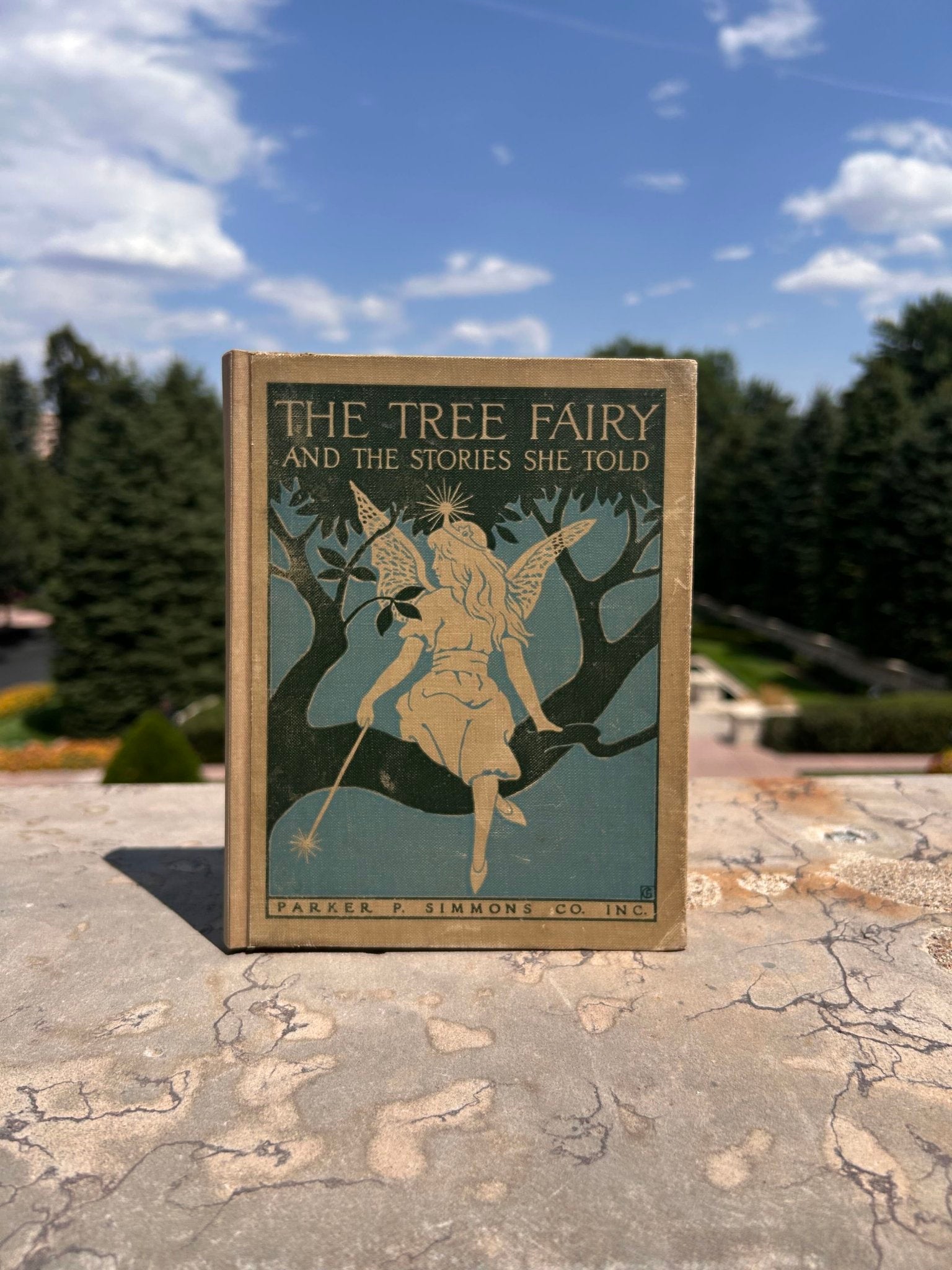 The Tree Fairy and the Stories She Told by Minna B. Noyes, Illustrated, 1915 - The Great Republic