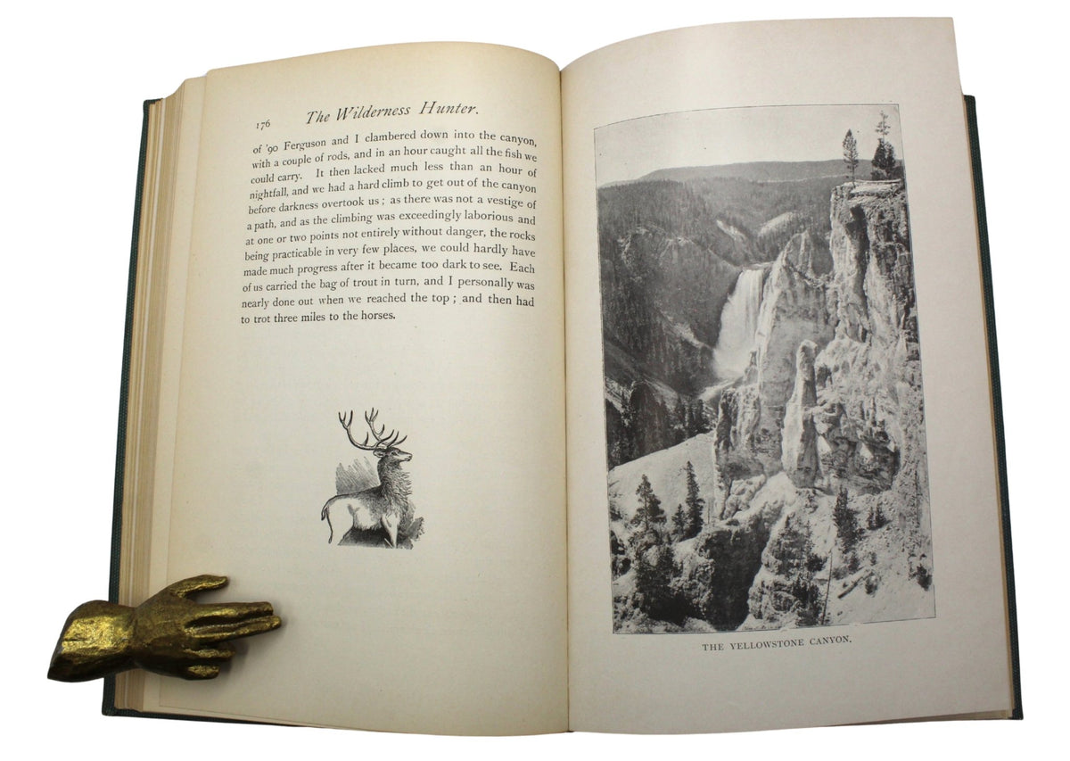 The Wilderness Hunter by Theodore Roosevelt, 1893 - The Great Republic