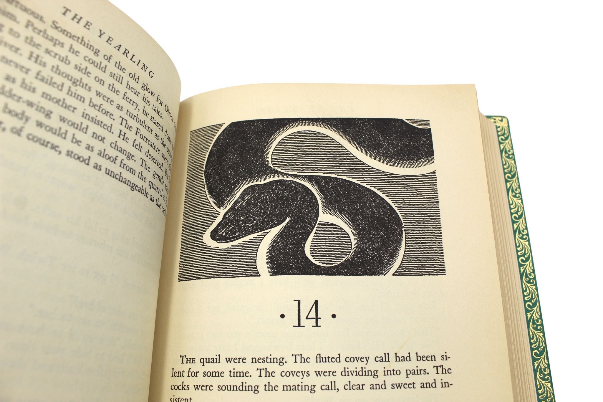 The Yearling by Marjorie Kinnan Rawlings, First Edition, 1938 - The Great Republic