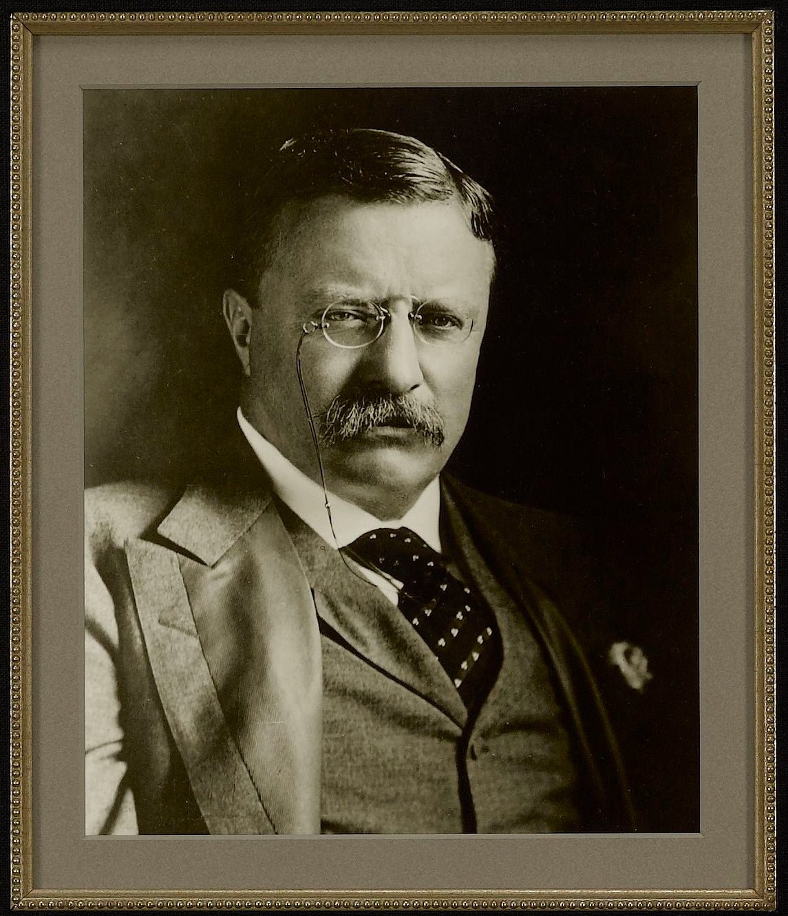 Theodore Roosevelt Signed Letter, 1915 - The Great Republic