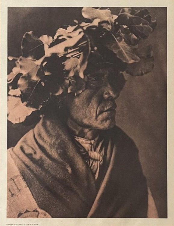 "Porcupine - Cheyenne" by Edward S. Curtis, 1911